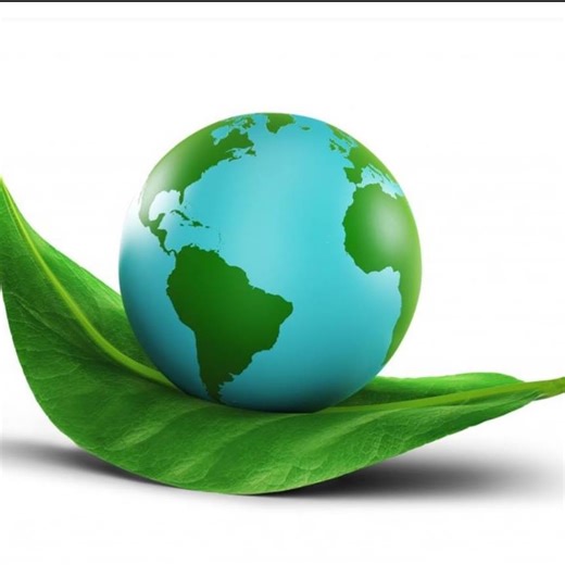 Planet Green Tree Service | Charleston SC