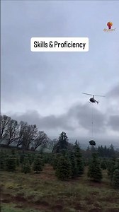 Skill vs Proficiency