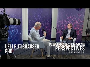 Neurons Don't Work Alone: What Neuroscientists Know About Memory Formation