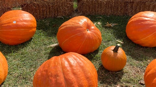 October Fun: 40 cool things to do in the Beaver Valley (and a few dozen in Pittsburgh)