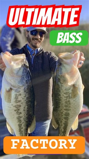 Building a Bass Factory That Actually Works #bassfishing #fishingtips #shorts