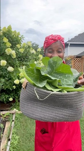 You Can Eat Squash Leaves? Garden-Fresh Sauté, Harvest To Table #garden #gardening #maryland