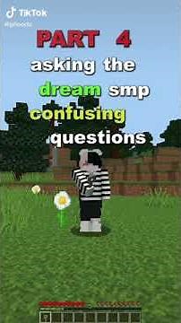 Phoodu asks the Dream SMP Confusing Questions Part 4