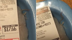 Disgusting video of live worm inside sealed package of cod