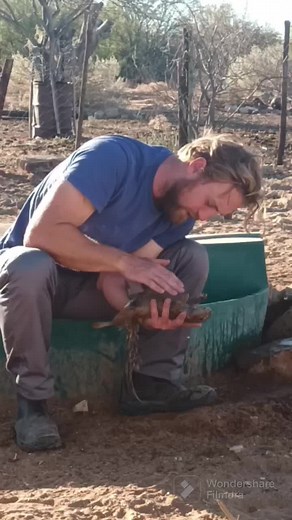 Stem vir ons video op Kwêla deur die woord