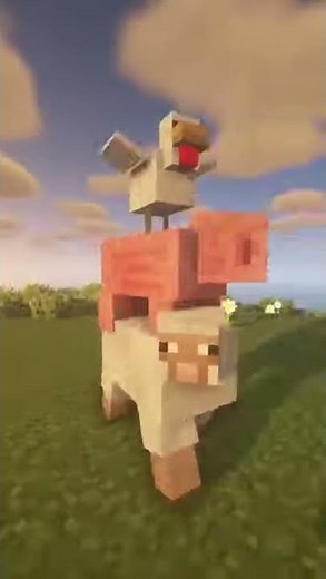 Minecraft Carry On Mod!