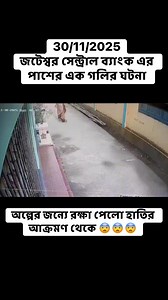 হাতির আক্রমণ থেকে রক্ষা পেলেন অল্পের জন্যে | Rajib Rahaman