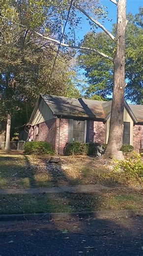 1K views | Tree removal FREE ESTIMATE 2054002396 BIRMINGHAM ALABAMA | R&A tree service. | Facebook