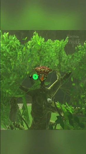 Korok Guide: Find Korok Seeds in Zelda: Breath of the Wild!