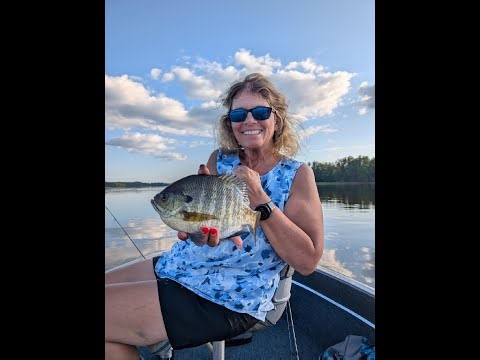 Willow Flowage Panfish