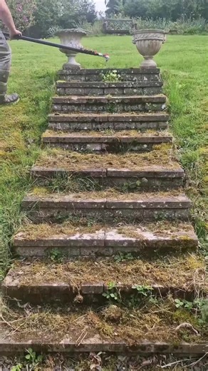 RELAX 👩‍🌾👩‍🌾👩‍🌾 #pressurewashing #poolguy #pool cleaning #clean #Satisfying