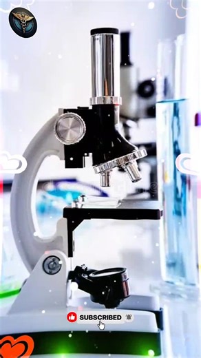 LEGO Stop-Motion Medical School Madness | Doctor's Big Dream 💊 Hospital Life in LEGO | Student's Per