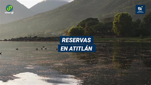 🦜 Guatemala: Un paraíso para los observadores de aves 🌄 ¿Sabías que en #Guatemala habitan más de 734 especies de aves? Desde el colibrí hasta el quetzal, nuestro país es un tesoro de biodiversidad que merece ser explorado. 🇬🇹✨ 📍 Lugares ideales para la observación: 🌊 Atitlán y sus paisajes volcánicos 🌴 Río Dulce, entre manglares y selva ⛰️ Montañas de los Cuchumatanes, hogar de especies únicas Si eres amante de la naturaleza, #BancoIndustrial tiene algo especial para ti. ¡Anímate a descub