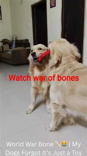 World War Bone 🦴😂 | My Dogs Forgot It’s Just a Toy #funny #dog #dogshorts #bloxshorts #bloxgarden