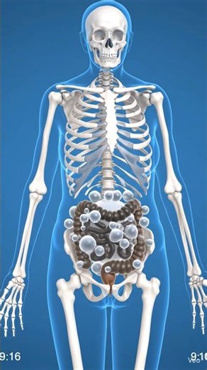 What Happens If You Don’t Poop for 10 Days? 😱 (Day by Day Body Changes)