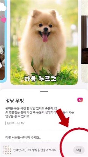 움직이는 이모티콘 만들기 #강아지 #puppy #강아지이모티콘