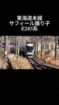 【東海道本線】豪華特急から通勤電車まで！サフィール踊り子・E257系・E231系・E233系 走行シーン集