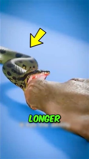 Which One Lives the Longest? These 4 Animals Outlive Humans😱 #facts #wildliferescue #shorts