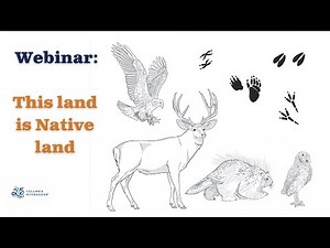 This Is Native Land