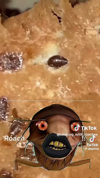 Roach Eggs at McDonald's: A Responsible Parent's Perspective