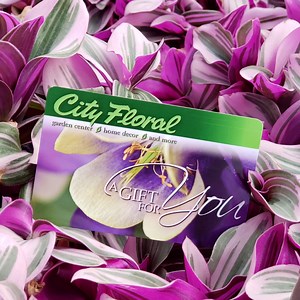Gift Cards - City Floral Garden Center - Denver Colorado