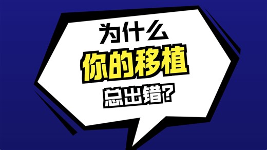 DS模拟器开发-移植开发10w外-部分4