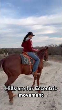 Hills for strengthening back muscles #horse #equestrianjourney #horseriding #saddlefitting