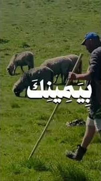 قران اجر لي و لك❤️‍🩹
