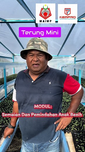 #asnafmaiwp #fertigasi #fypシ゚viral #fertigasiterung #asnafkempro