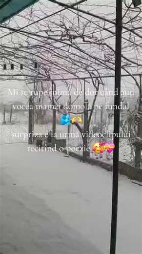 Emotional Poem Recitation: A Tribute to Mother's Voice