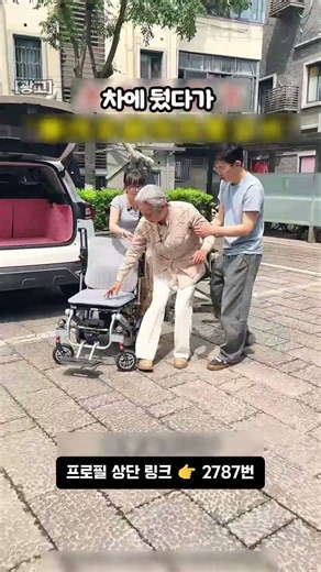 🦽 A Two-Seater Electric Wheelchair