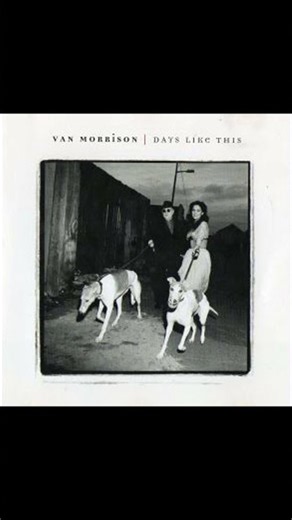 Days Like This - Van Morrison - From the 1995 Album - 'Days Like This' #Shorts