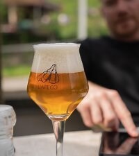 Thomasthefirst Stripchat Webcam Model - Profile & Free Live Sex Show - Cam4Joy.com