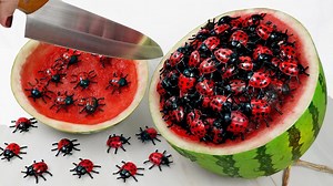 956K views · 1.6K reactions | 珞珞珞How to make a cool salad on summer day珞珞珞 | Funny Stop Motion Cooking | Facebook