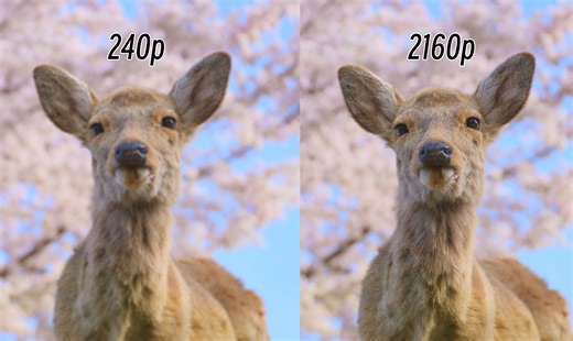 240p大战“蓝光"｜提高码率的终极方法 - 将240p装进8K容器中...