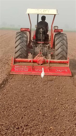 Preparing the Field for Corn Cultivation