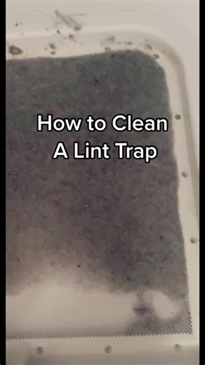 Lint Trap Cleaning Guide