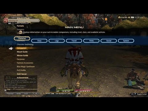FINAL FANTASY XIV Online Sleeping Bear's Journey Part 49 (No Commentary)