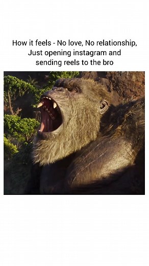 Snarky on Instagram: "Share it with your bro 🤣 🦖🦍 Godzilla vs. Kong (2021) – Epic Monster Battle Scene 🌊⚡ When two of cinema’s biggest titans collide, the world shakes! Godzilla vs. Kong is a 2021 action-packed sci-fi film where the King of the Monsters faces the King of Skull Island in a legendary showdown. 🔥 Plot: Humanity sets out on a dangerous mission to find Kong’s true home, but Godzilla emerges with unstoppable fury, leading to an explosive clash between the two alpha predators. Wit
