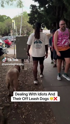 I have no empathy for people like this, you are arrogant, you are ignorant, you are entitled, you are stupid, you are annoying and you also have a poorly trained dog. You put others who are minding their business in compromising positions, because you can’t bear to be seen with your dog on a leash. In this video, this wasn’t an issue because for Hugo (the dog) I am a clear decisive leader who he knows will handle it. But I train many dogs where that could have easily been a dog fight, and almost