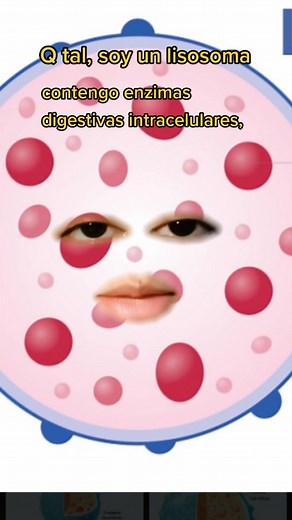 La BioZona on TikTok