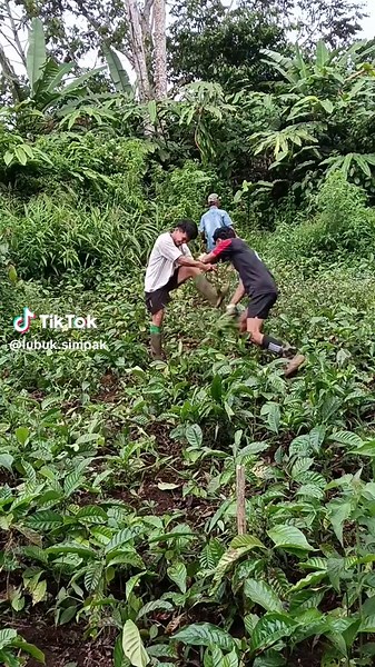 Dadang Prizen on TikTok