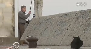 184K views · 2.2K reactions | #猫猫 偷鱼  | Motor Auction Co日本汽車拍賣中心 JapanCars Auction | Facebook