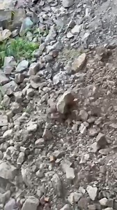 Hidden Gold Hunters | GoldHunting