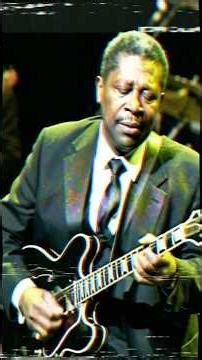 Chicago Blues Lab 1980s Legendary Concert Moments Stories from the Golden Era