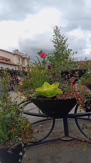 Música y nuestros paisajes | Rosmeri Chimbo