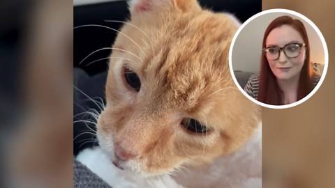 20-year-old cat was meant to be put down - until one woman saw his will to live