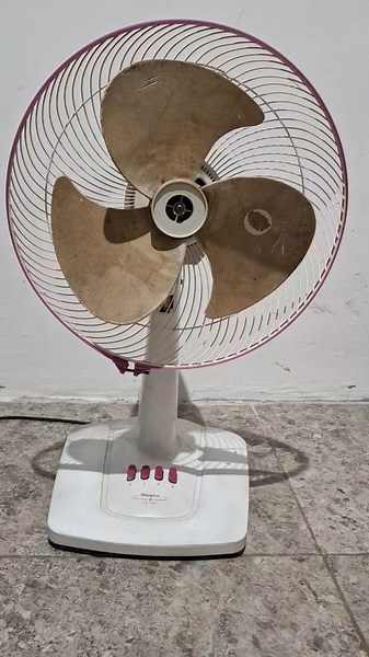 Best Fan Noise | sleep fast #sleep #whitenoise #shorts