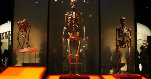 Découverte d’une nouvelle espèce d'homme primitif en Éthiopie | Africanews