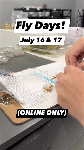 20% OFF all flies when you purchase 12 or more from our online store. USE CODE: FLY20 at check-out. | Shop all flies with the link in the comments! #flyfishfood #flydays #sale #flytying #flyfishing #flies | Fly Fish Food